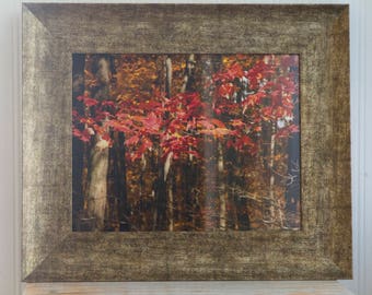 Fall Leaves Framed Photo, Nature Photography Print, Red Leaf  Woodland Forest Wall Art Decor