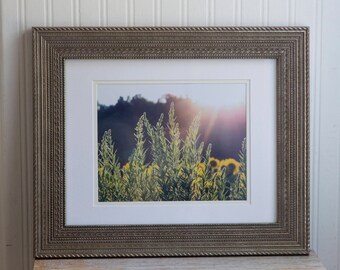 Framed Sunflower Photo Art, Landscape Photograph at Sunset, Elegant Earthy Home Decor, Free Shipping USA