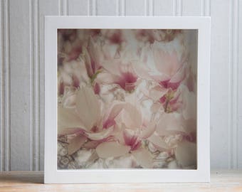 Framed Digital Art Print, Pink Ivory Magnolia Flower Photo, Sepia Tone Floral Nursery or Bedroom Decor