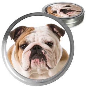 Bulldog Essential Care Combo Handcrafted Balms for Dry Dog Noses, Rough Paws and Itchy Skin Irritations in a Storage/Gift Tin