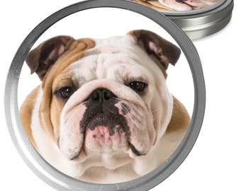 Bulldog Essential Care Combo Handcrafted Balms for Dry Dog Noses, Rough Paws and Itchy Skin Irritations in a Storage/Gift Tin