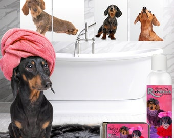 Dachshund Rich Bitch or G-Rated Drama Queen (or King) Dog Shampoo for Your Demanding Dachshund in 4, 8, 16 oz Bottles, US Gallons & Soap