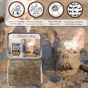 May include: A bar of dog soap in a tin container with the text "The Blissful Dog" and "Stinky Filthy Dog Soap". The soap is green and brown and has a dog paw print on it. A French bulldog is covered in mud in the background.