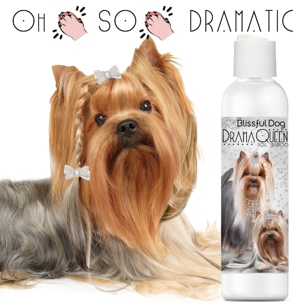 Yorkshire Terrier Shampooing de luxe pour votre chien Diva Bouteilles de 4, 8, 16 oz, gallons américains et savon CLASSÉ PG Rich Bitch ou G-Rated Drama Queen Label