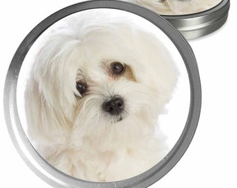May include: A white Maltese dog with brown eyes looking directly at the camera. The dog is in a round, silver container with a white background.