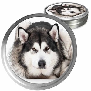 Alaskan Malamute Essential Care Combo Handcrafted Balms for Dry Dog Noses, Rough Paws and Itchy Skin Irritations in a Storage/Gift Tin