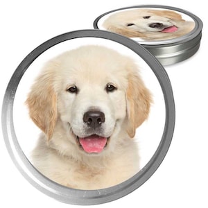 May include: A close-up of a golden retriever puppy with a white background. The puppy is looking at the camera with its tongue sticking out.