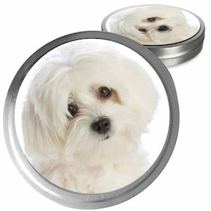 Coton de Tulear Essential Care Combo Handgemaakte balsems voor droge hondenneuzen, ruwe poten en jeukende huidirritaties in een opslag/ cadeaublik