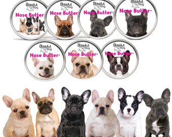 Blue French Bulldog Etsy