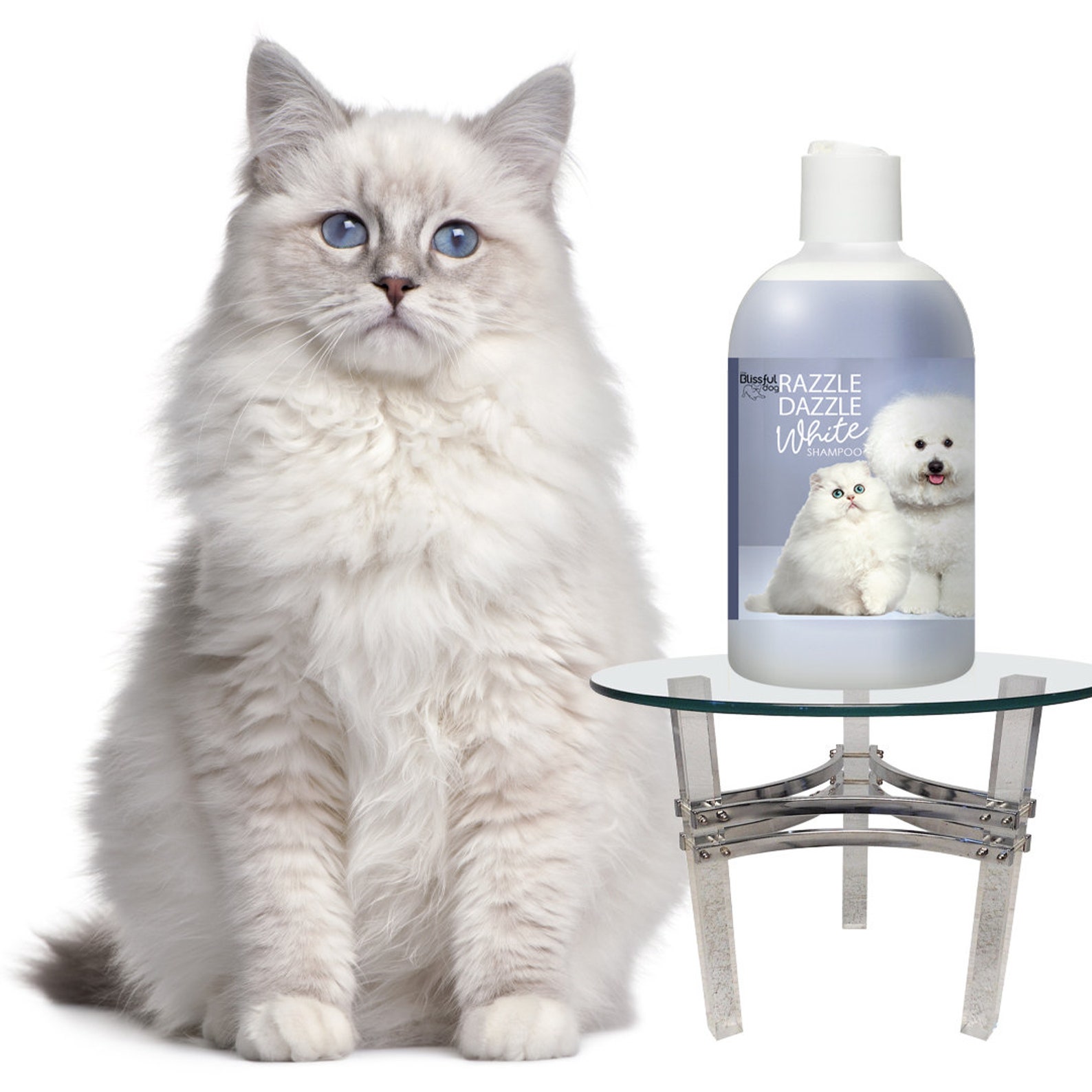 The Blissful Cat Razzle Dazzle Cat Shampoo Whitening Etsy
