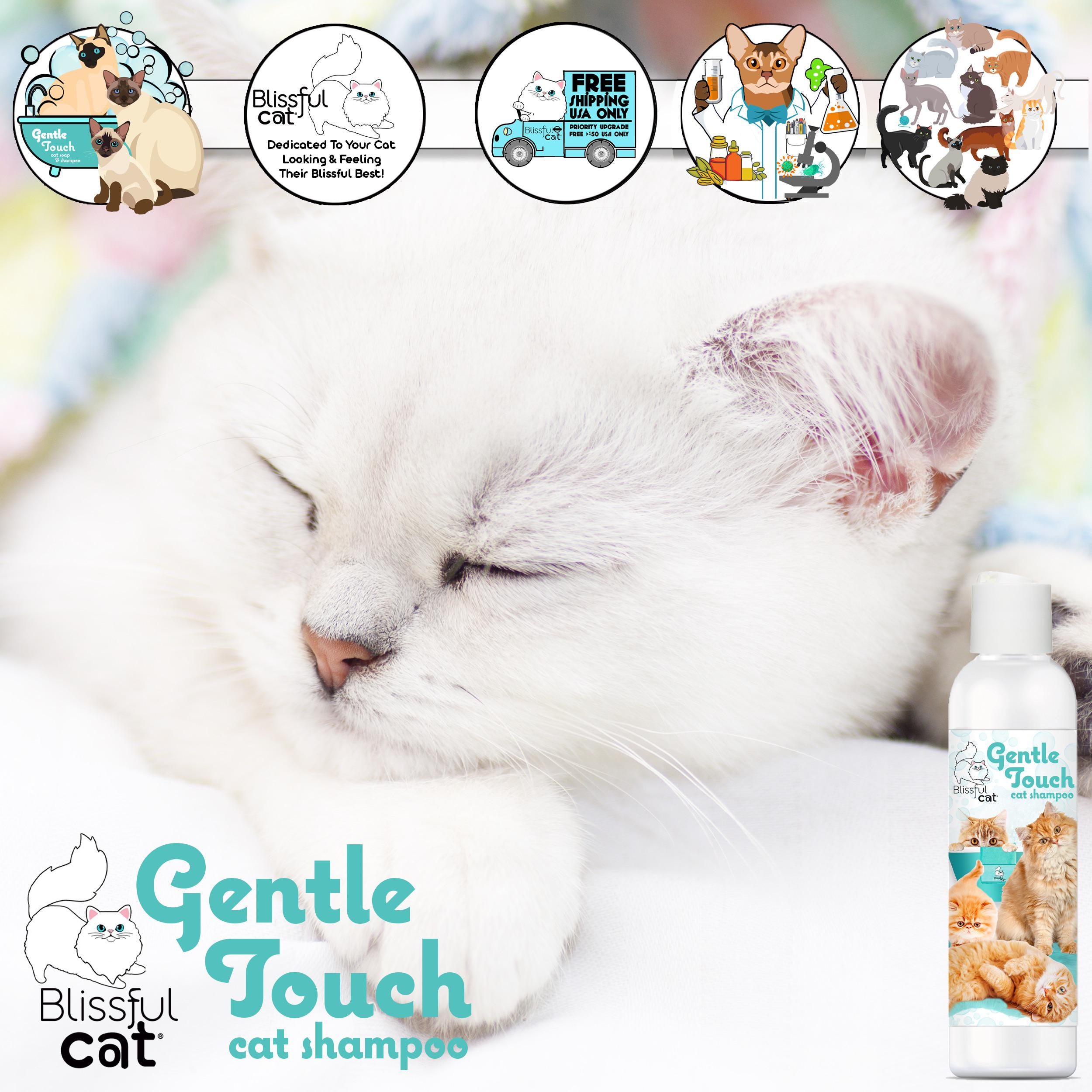 cat safe shampoo