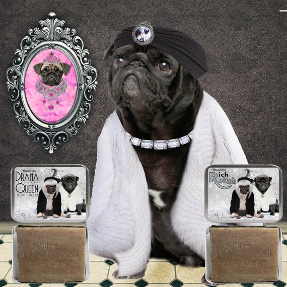 Best dog shampoo for pugs clearance