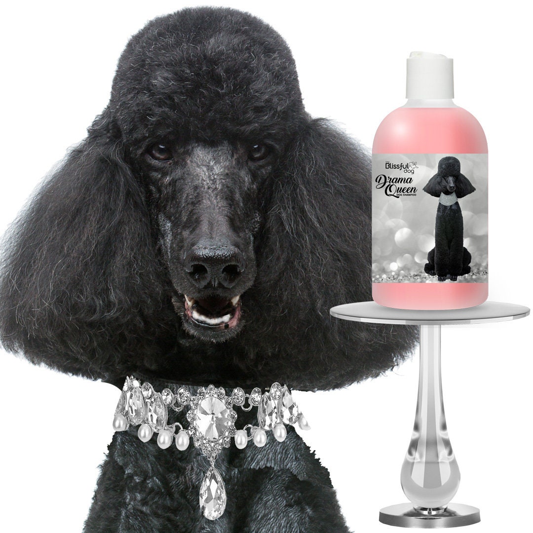 front leash dog harness