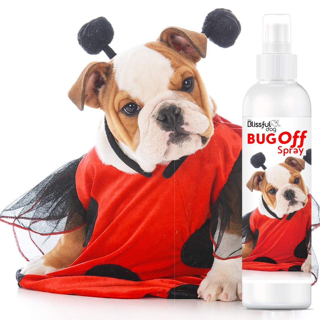 Can Off Spray Be Used On Dogs