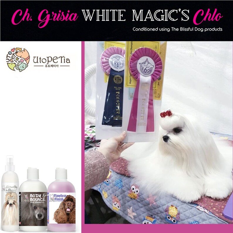 silk creation dog shampoo