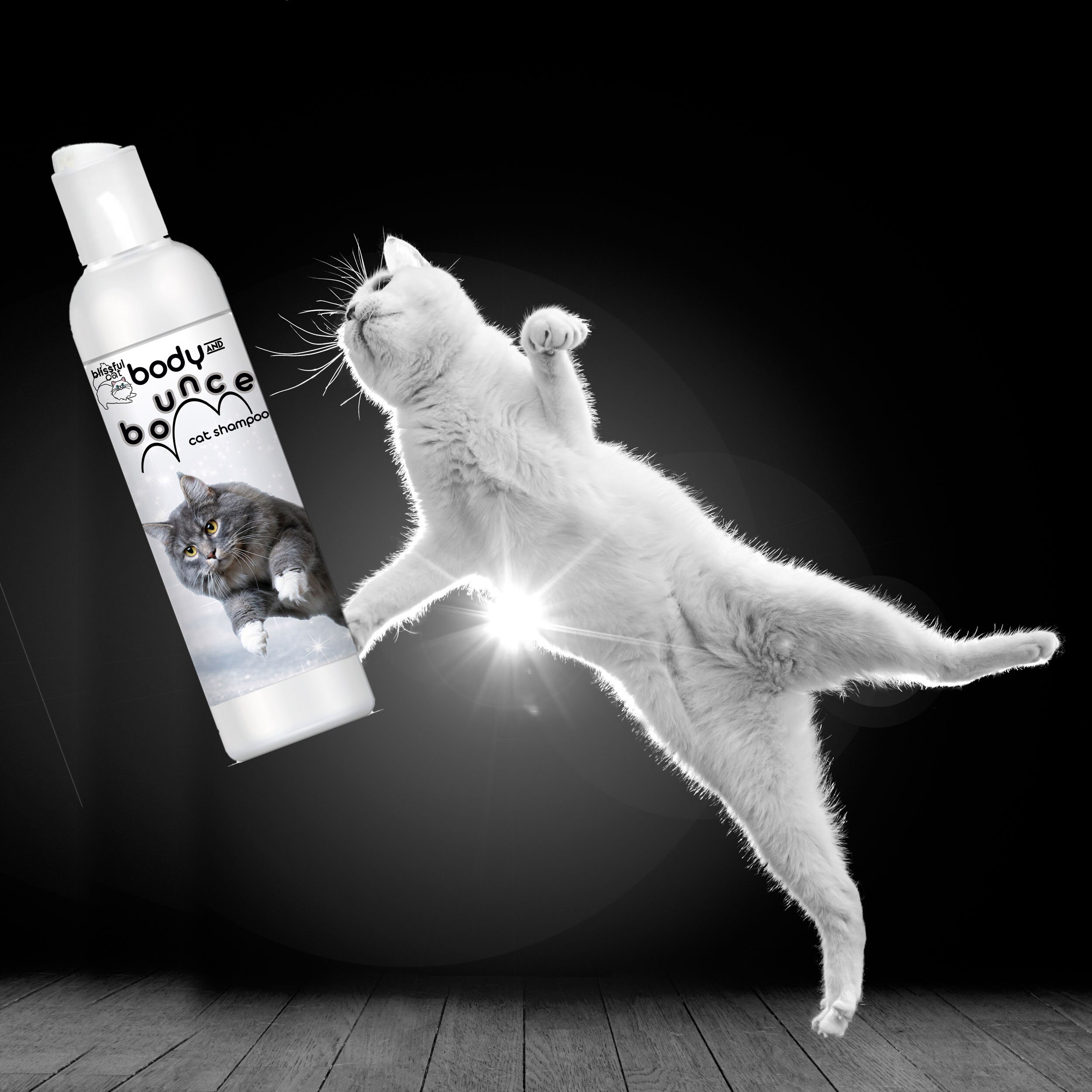 The Blissful Cat Body Bounce Cat Shampoo for Coats That Need Mega Watt Oomph and Silky Coats That Crave Volume 4 8 16 Oz Bottle Gallon Etsy UK