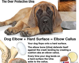 dog elbow patch