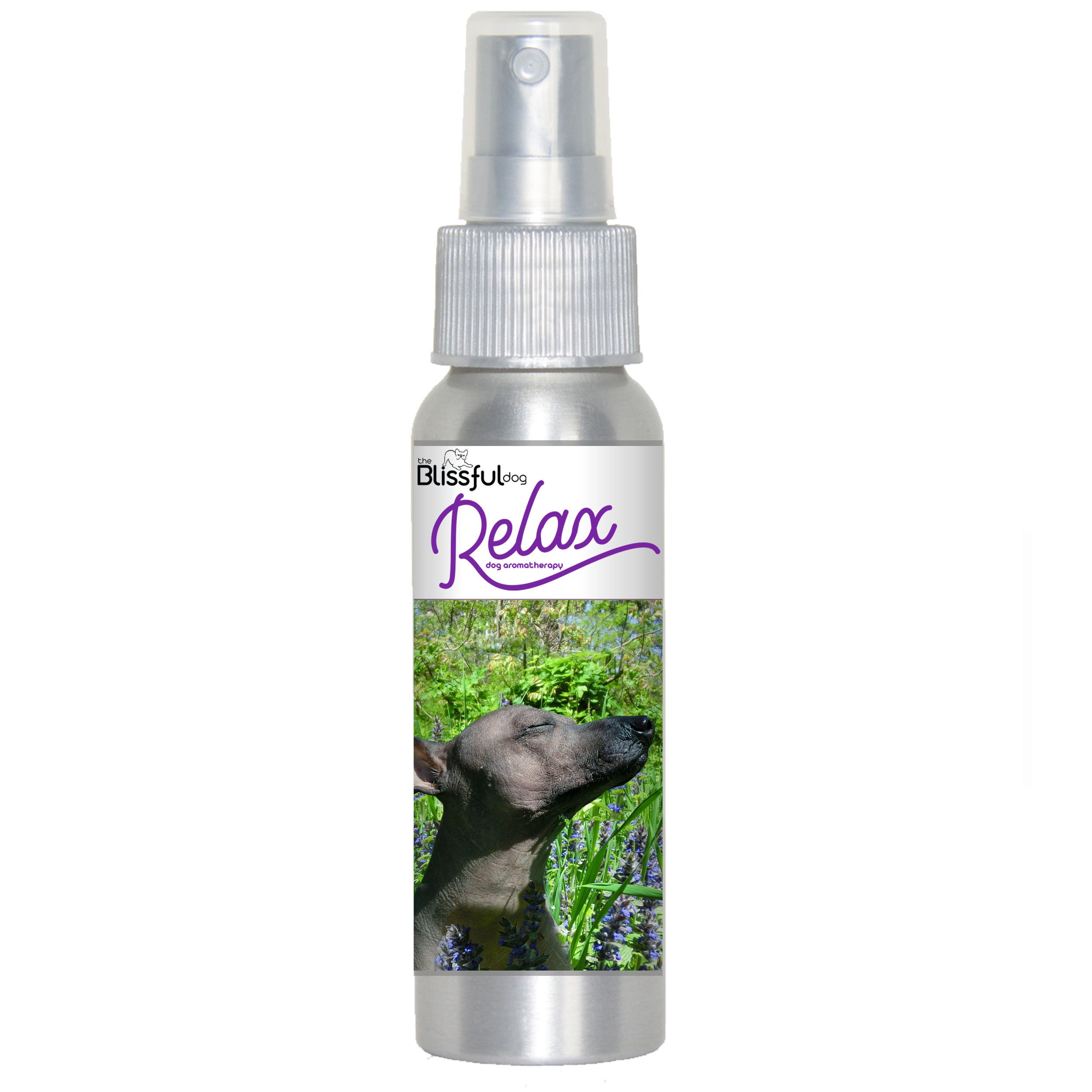 Xoloitzcuintli Relax Dog Aromatherapy Roll on Spray for