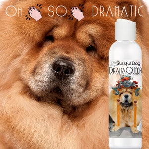 Puede incluir: Una botella de champú para perros con una etiqueta que dice "The Blissful Dog Drama Queen Dog Shampoo". La botella es blanca con un líquido transparente en su interior. La etiqueta presenta una imagen de dibujos animados de un perro Chow Chow con una corona y una túnica roja y dorada. El texto "Oh so dramatic" está escrito encima de la botella.