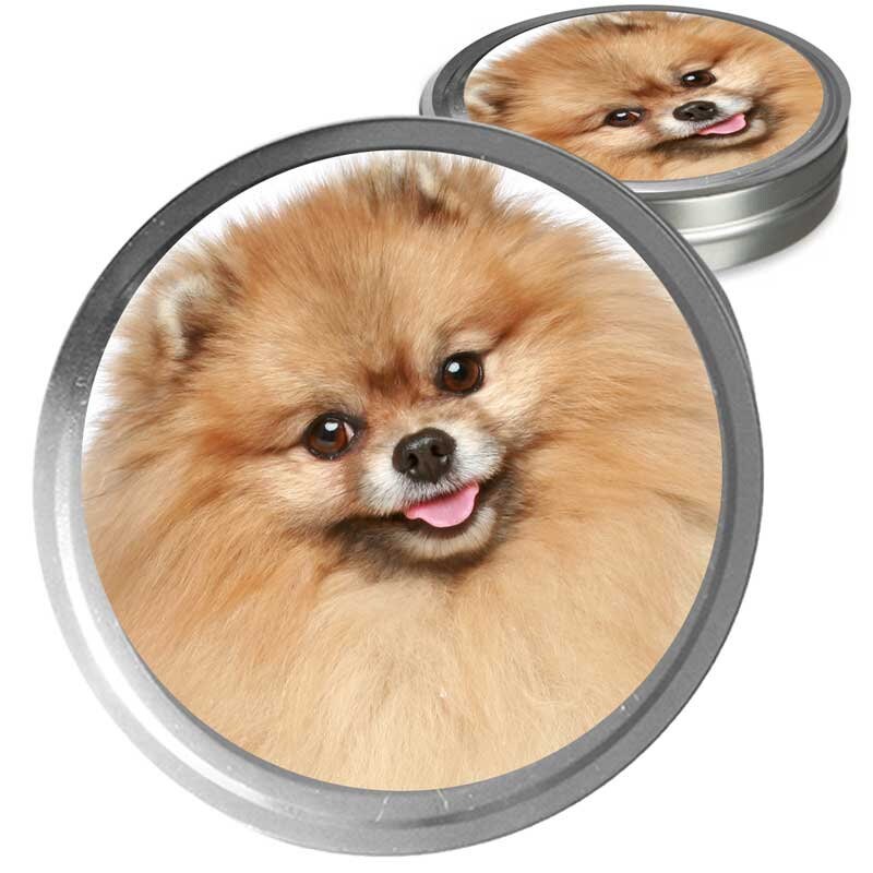 pomeranian essentials