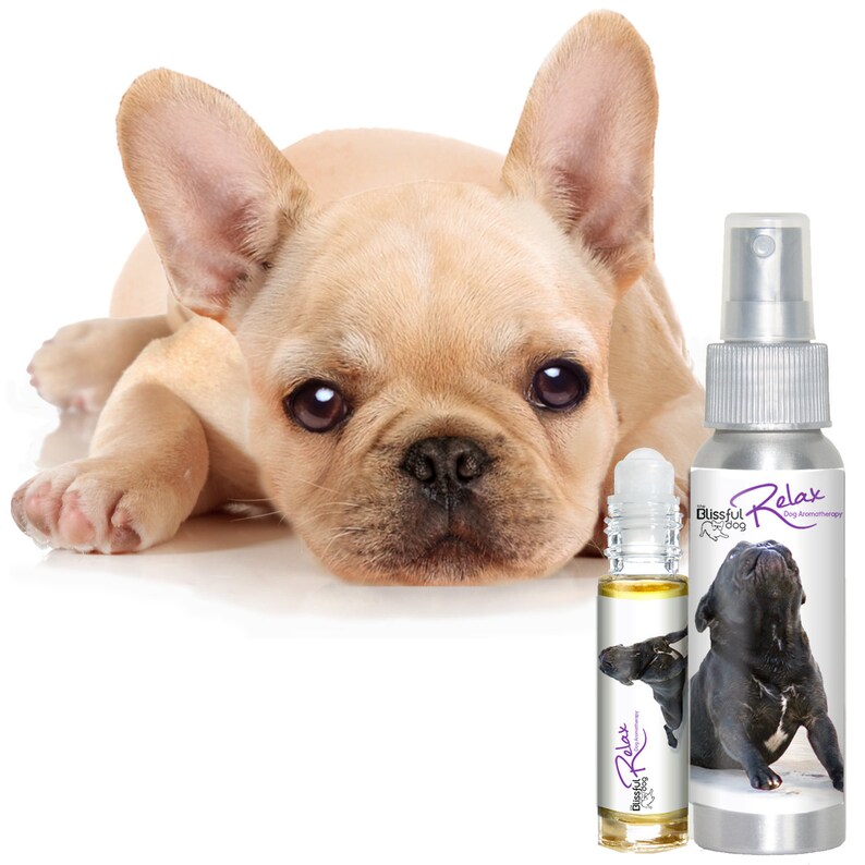 French Bulldog Relax Dog Aromatherapy RollOn & Spray for Etsy