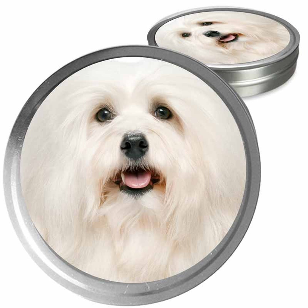 Havanese Essential Care Combo Handcrafted Balms for Dry Dog Noses, Rough Paws and Itchy Skin