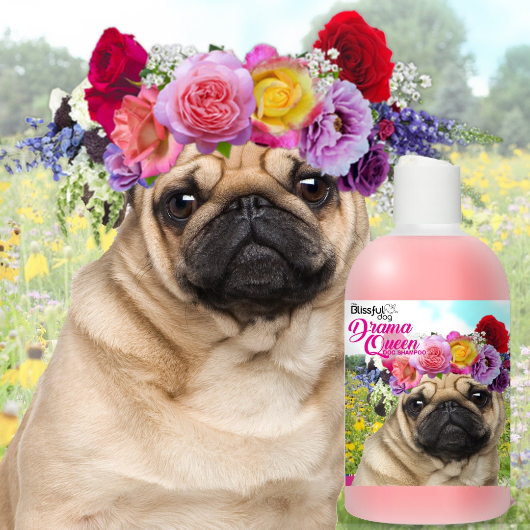 pug dog shampoo