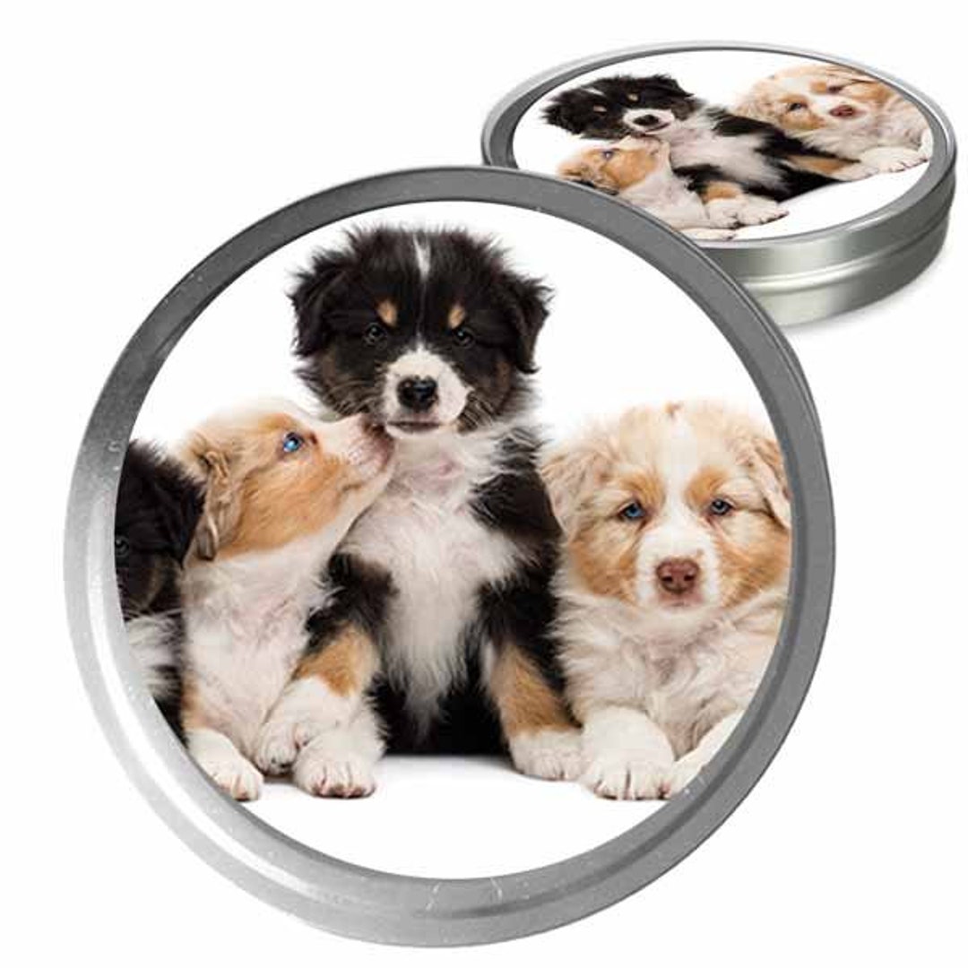 Australian Shepherd Essential Care Combo Handcrafted Balms for Dry Dog