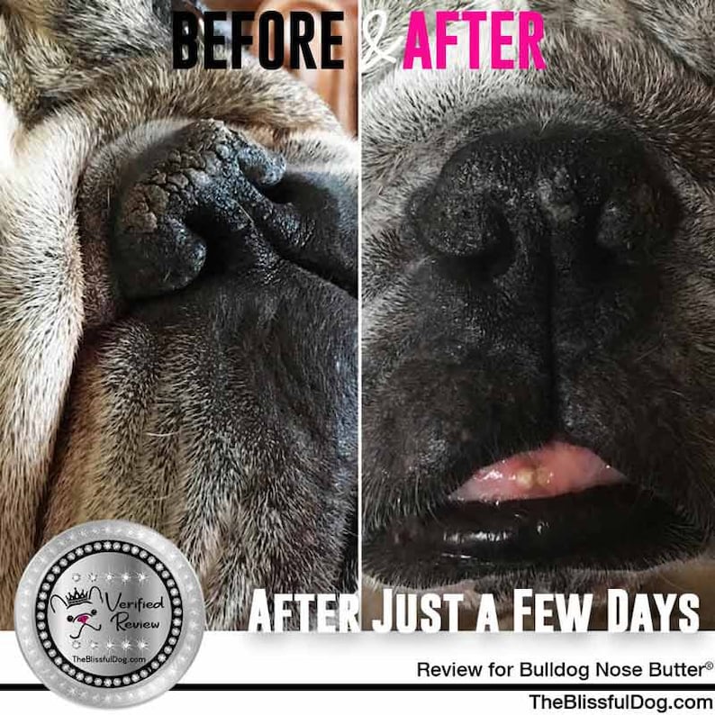 Bulldog Nose Butter® Handcrafted in Minnesota Using All Natural Balm for Crusty or Dry Dog Noses Tins & Tubes with Bulldog Label image 9