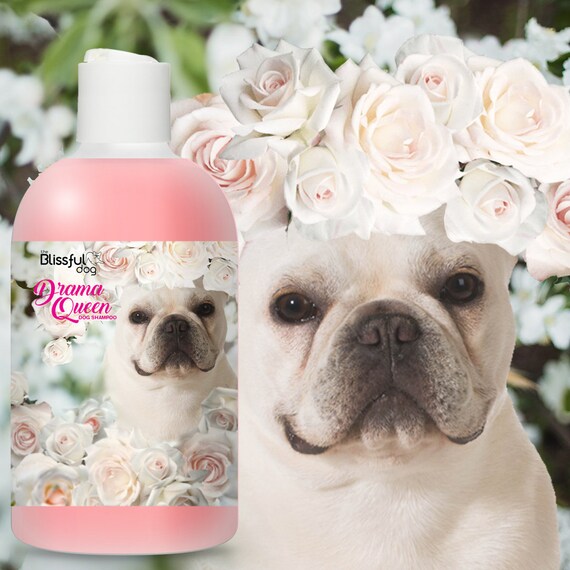 frenchie shampoo