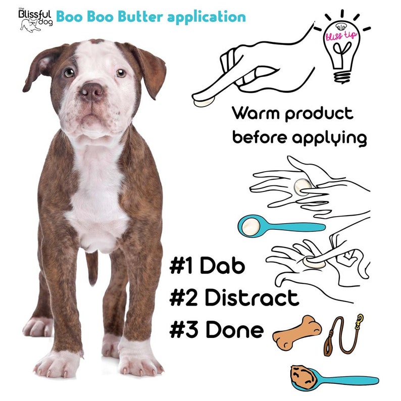 American Bulldog Essential Care Combo Handcrafted Balms for Dry Dog Noses, Rough Paws and Itchy Skin Irritations in a Storage/Gift Tin image 8