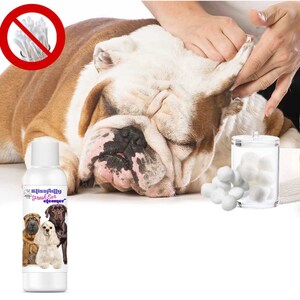 The Blissful Dog Blissfully Fresh Ear Cleaner in EZ Squirt Bottle Keep Your Dog Smelling Blissful With Ear Cleaning 4, 8 & 16 oz bottle image 7