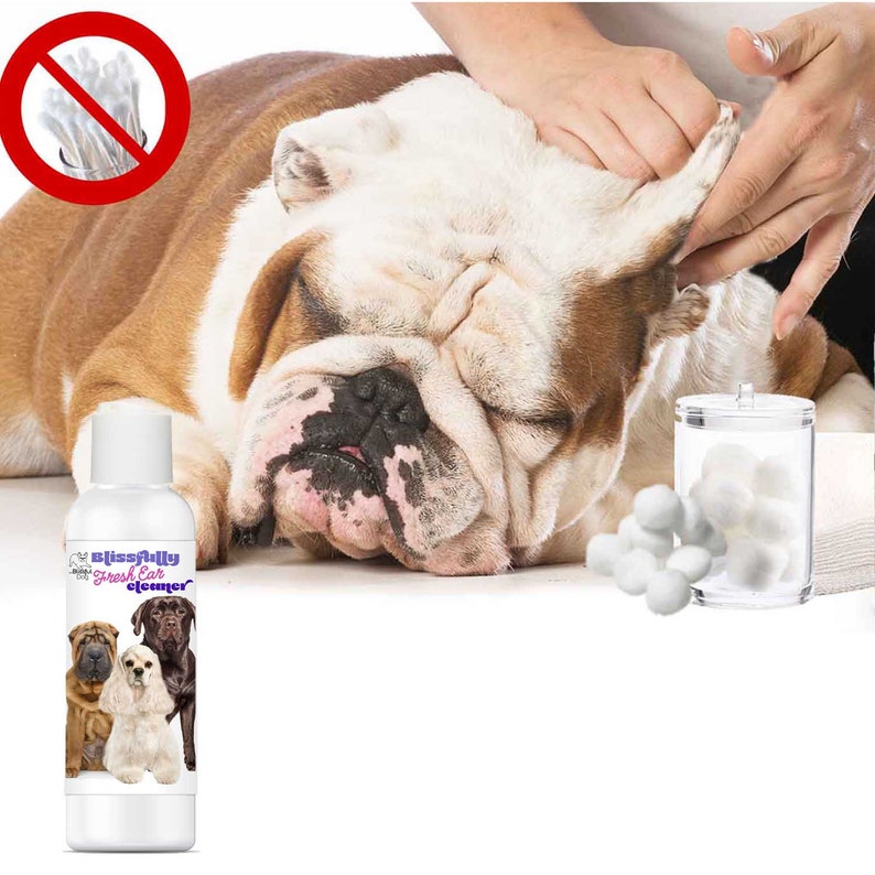 The Blissful Dog Blissfully Fresh Ear Cleaner in EZ Squirt Bottle Keep Your Dog Smelling Blissful With Ear Cleaning 4, 8 & 16 oz bottle image 7