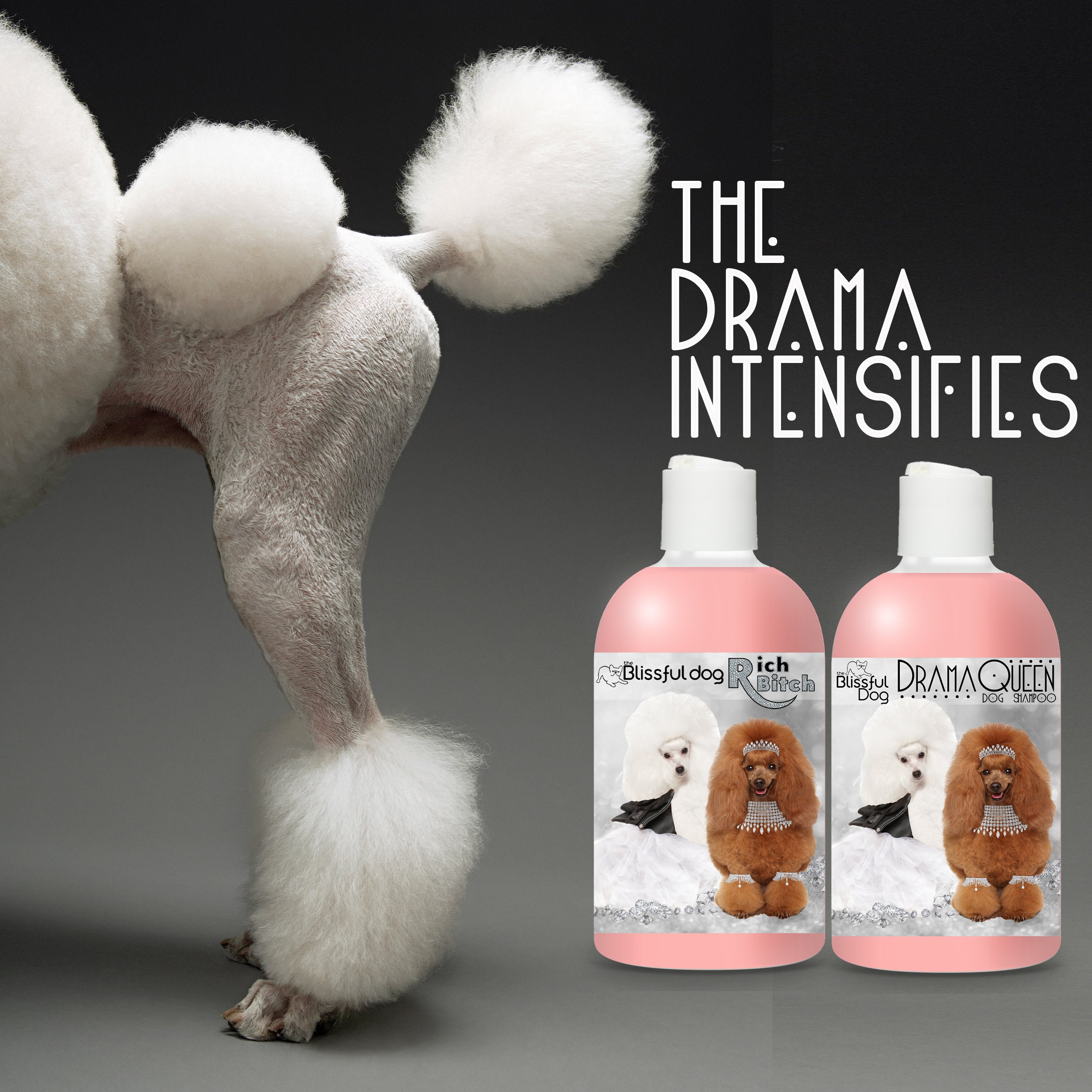 What Shampoo Should We Use On A Poodle