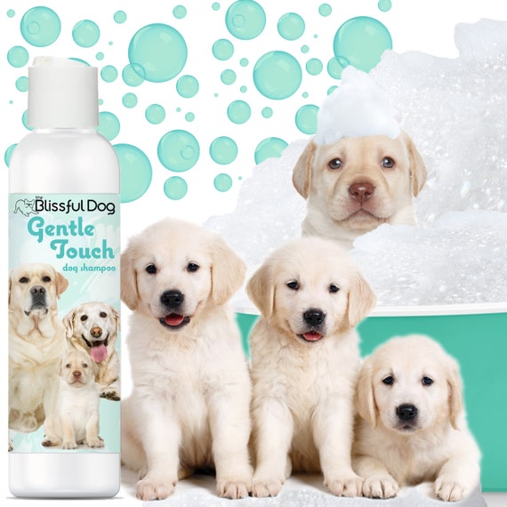 Blissfully Clean Dogs Gentle Touch Champu para perros para cachorros personas mayores y perros con piel sensible necesita 4 8 16 oz galones y jabon en barra Etsy Mexico