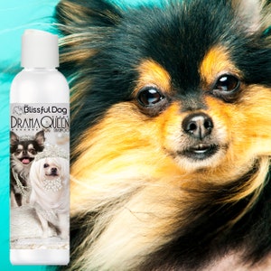 Puede incluir: Una botella blanca de champú para perros con una imagen en blanco y negro de dos perros con vestidos y un collar de perlas. La etiqueta de la botella dice "The Blissful Dog Drama Queen Dog Shampoo".
