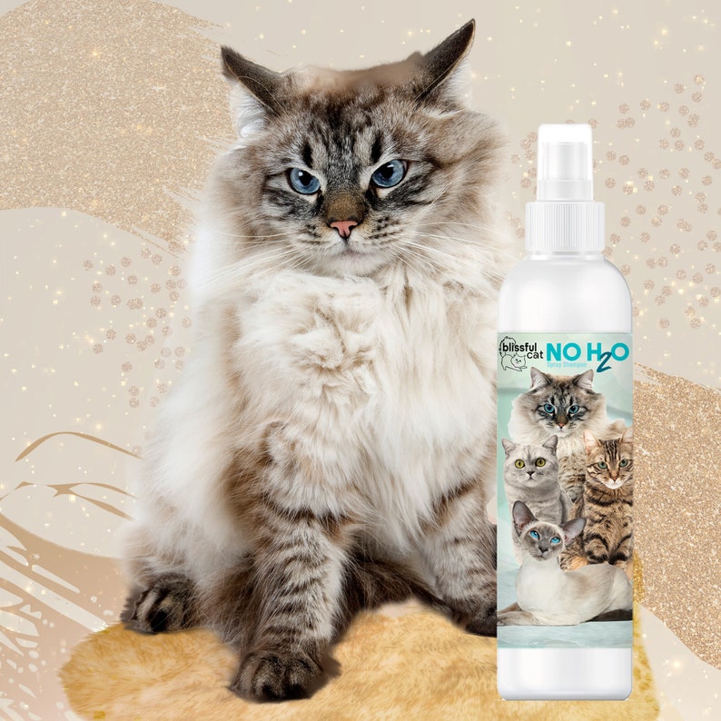 The Blissful Cat NO H20 Spray Cat Shampoo For In A Hurry Time Crunch, Seniors, On-the-Go, Don't Wanna Get Wet Cat Bathing 8 OZ