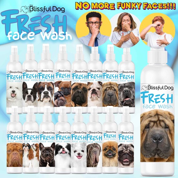 Should You Wash A Dogs Face