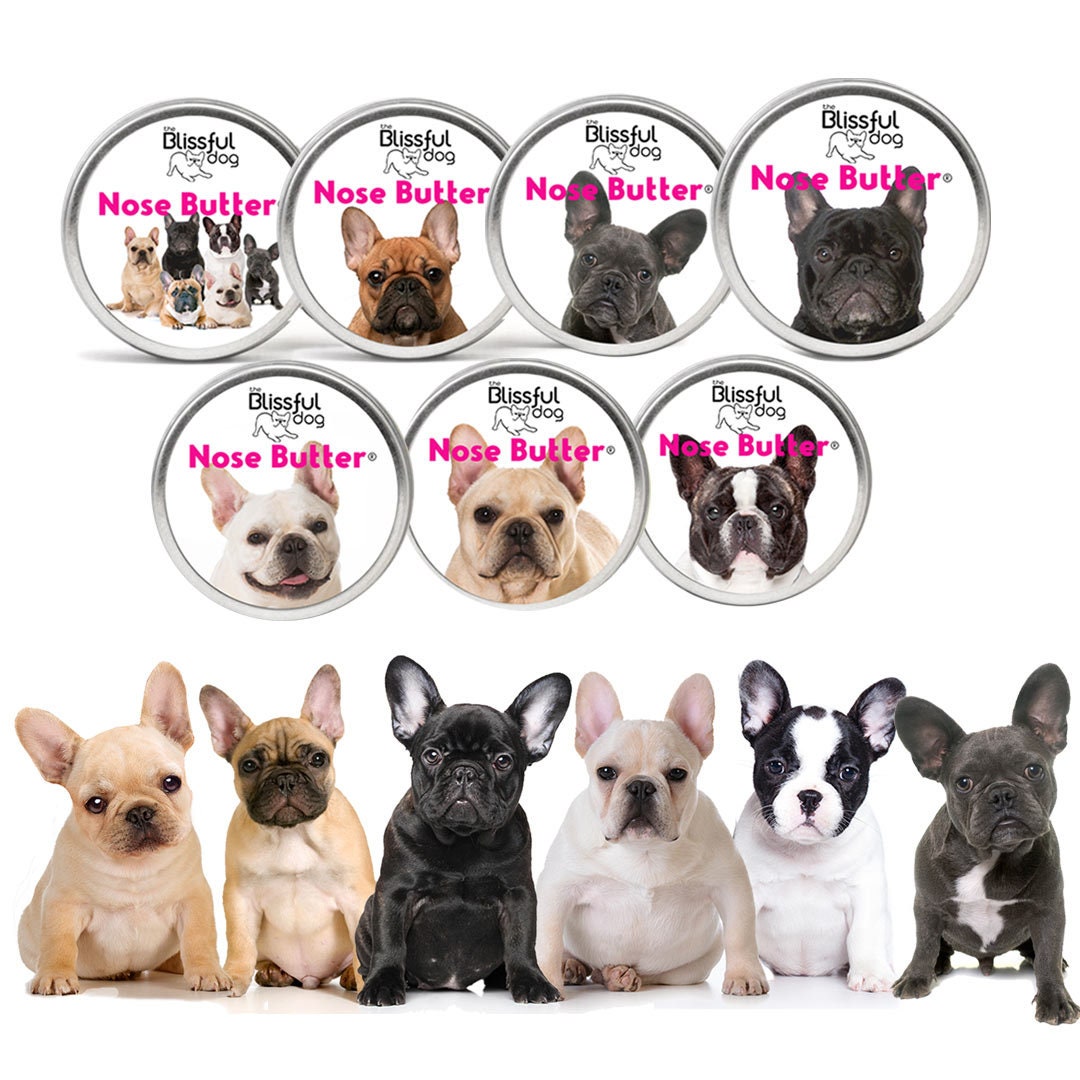 French Bulldog Nose Butter Handcrafted In Minnesota Using All Etsy French Bulldog Nose Butter Handcrafted In Minnesota Using All Etsy