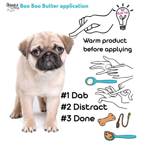 Pug keeps licking store paws