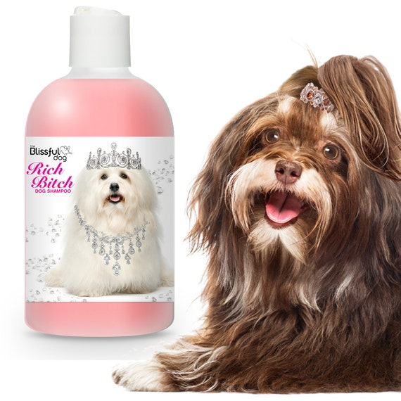 havanese shampoo