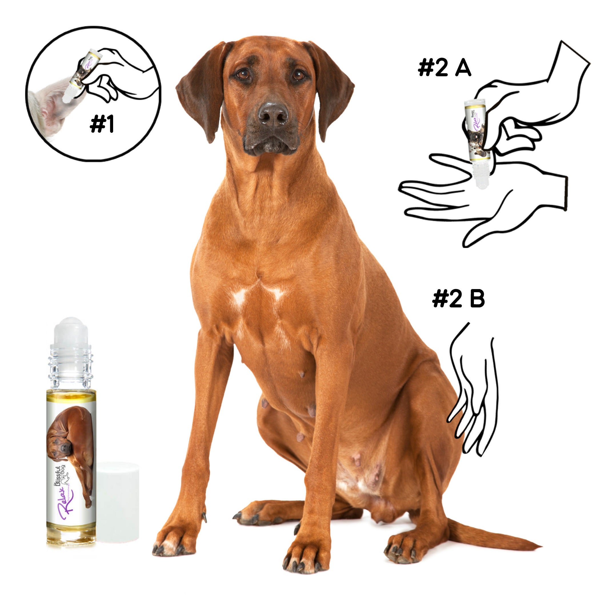 Rhodesian Ridgeback Relax Hund Aromatherapie RollOn &amp; Spray Etsy