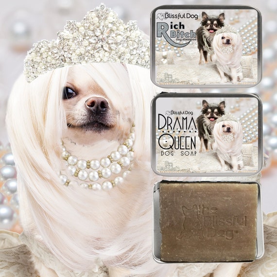Chihuahua Luxury Shampoo for Your Diva Dog Your Choice of PG Etsy