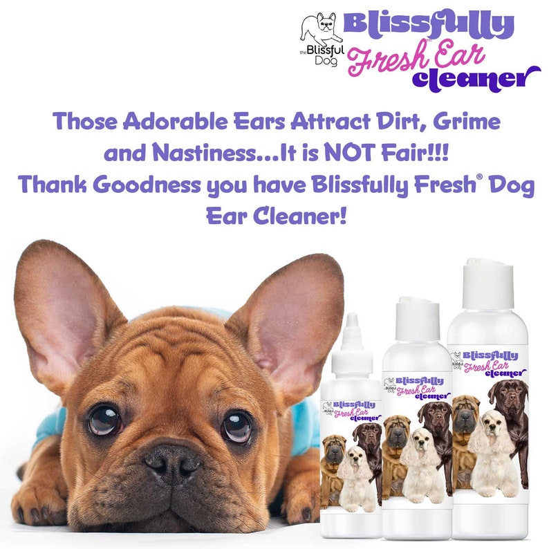 The Blissful Dog Blissfully Fresh Ear Cleaner in EZ Squirt Bottle Keep Your Dog Smelling Blissful With Ear Cleaning 4, 8 & 16 oz bottle image 8