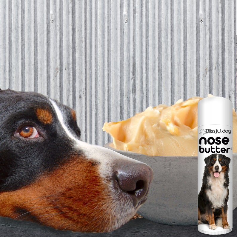 Bernese Mountain Dog Nose Butter® Handcrafted in Minnesota Using All Natural Balm for Crusty or Dry Dog Noses Tins & Tubes with Dog Label image 6