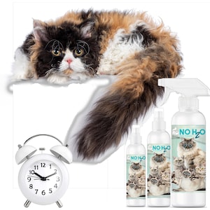 The Blissful Cat NO H20 Cat Spray Shampoo. For The In A Hurry, Seniors, On-the-Go, Don&#39;t Wanna Get Wet. 4, 8, & 16 oz Bottles and Gallons