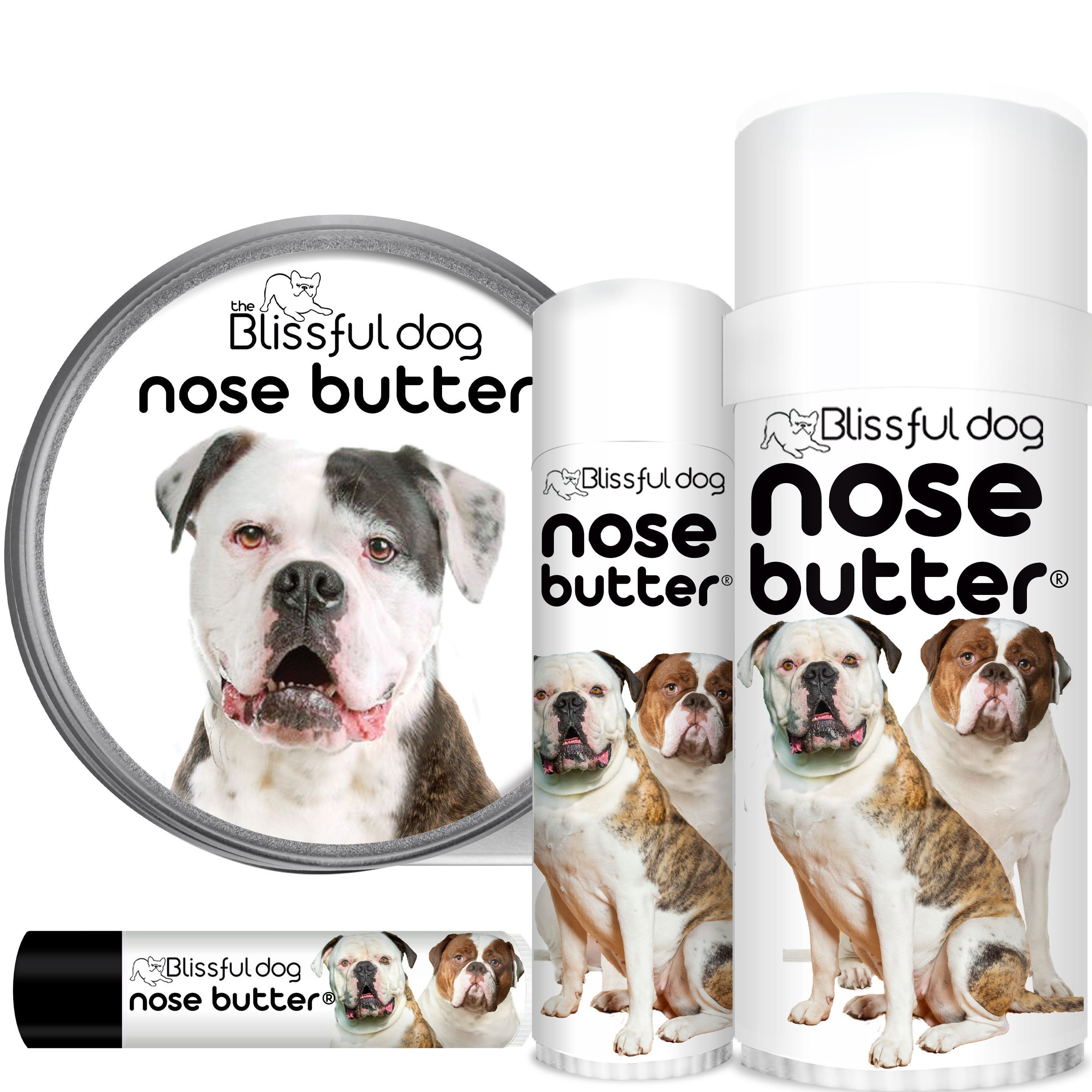 Dog Licking Peanut Butter Off Nose seeds.yonsei.ac.kr
