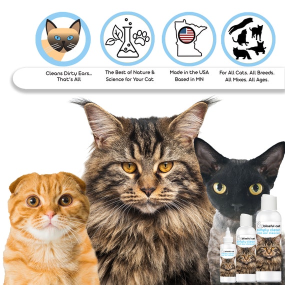 The Blissful Cat Simply Clean Cat Ear Cleaner in EZ Squirt Etsy