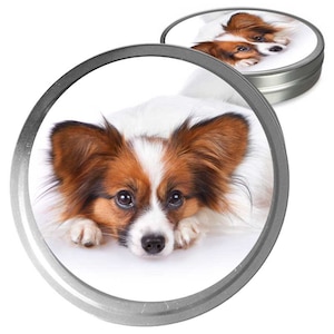 Papillon Essential Care Combo Handcrafted Balms for Dry Dog Noses, Rough Paws and Itchy Skin Irritations in a Storage/Gift Tin