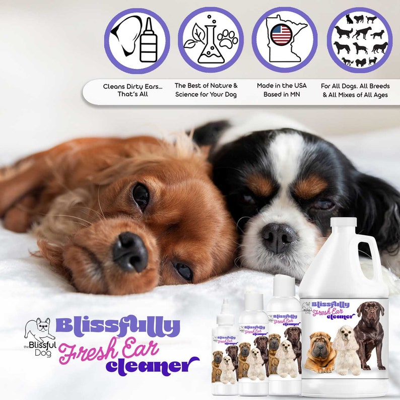 The Blissful Dog Blissfully Fresh Ear Cleaner in EZ Squirt Bottle Keep Your Dog Smelling Blissful With Ear Cleaning 4, 8 & 16 oz bottle image 9